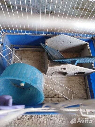 Клетка для грызунов