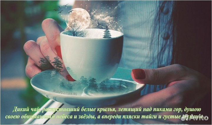 Саган-дайля