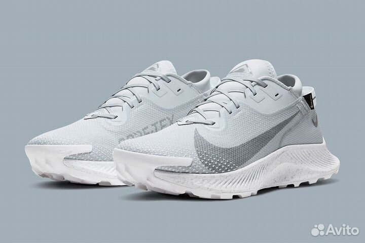 Nike Pegasus Trail 2