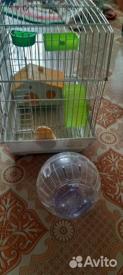 Клетки для хомяков