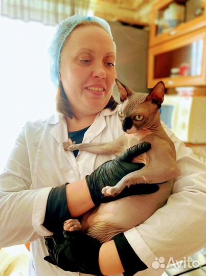 Ветврач.Стаж 23года.Кастрации.Стерилизации.Стрижки