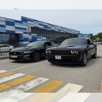 Аренда прокат авто Mustang, Челленджер в Крыму