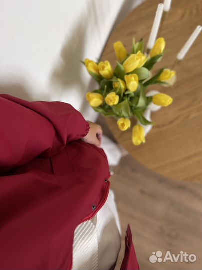 Ветровка женская