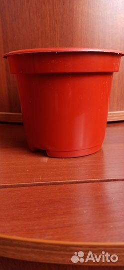 Горшки для рассады