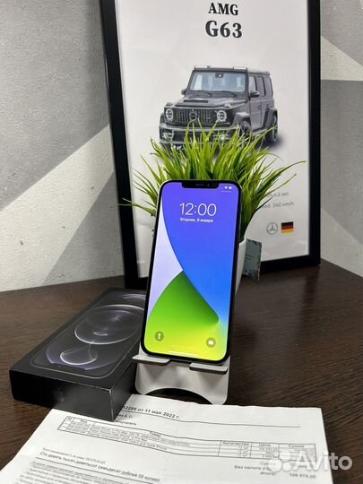 iPhone 12 Pro Max, 256 ГБ