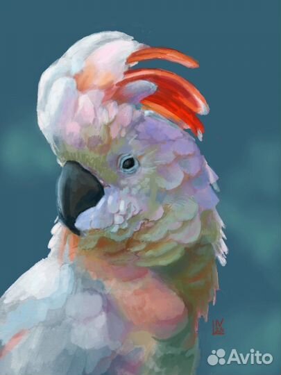 Художник иллюстратор, арт, рисунки на заказ