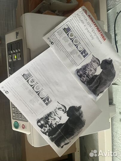 Принтер Мфу лазерный panasonic