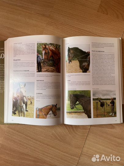 Книга Лошади