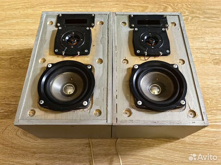 Колонки вега 25ас 101