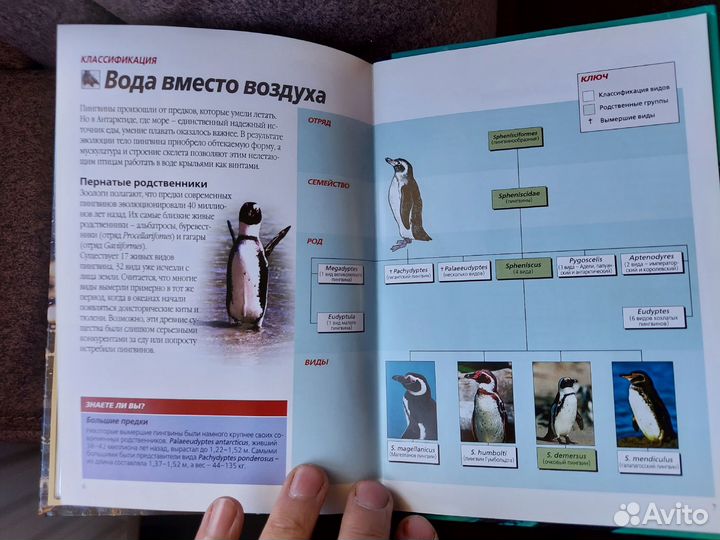 Редкие книги про животных с DVD