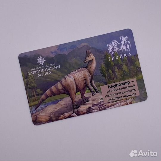 Карта Тройка Дарвиновский музей Амурозавр