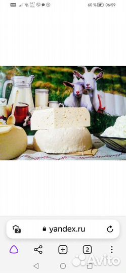 Козий сыр, молоко, творог