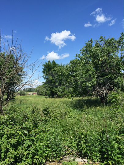 Участок 60 сот. (ИЖС)