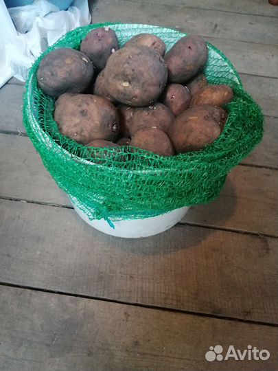 Продукты питания