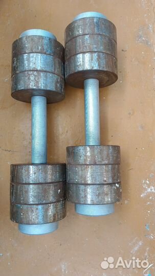 Две гантели по 12,5 кг