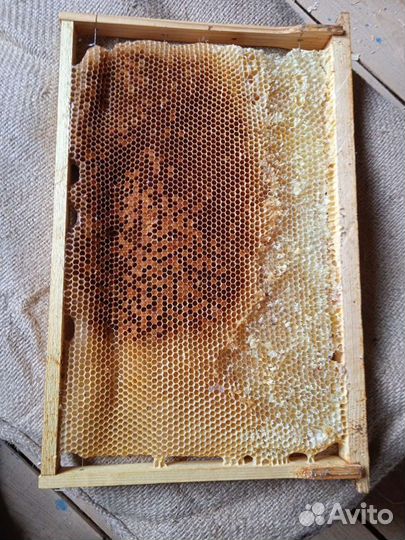 Рамки с вощиной