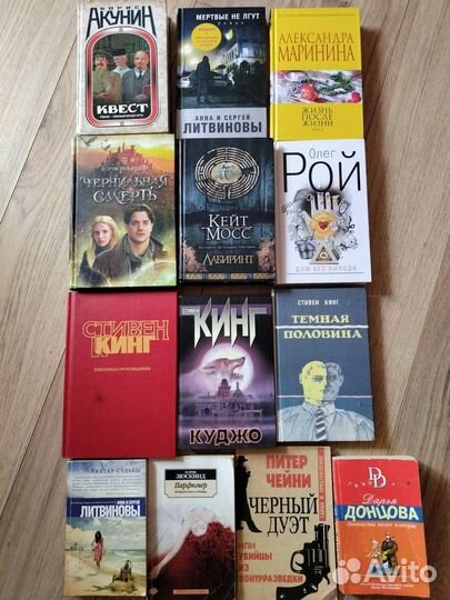 Книги: Кинг, Рой, Мосс, Акунин, Литвиновы