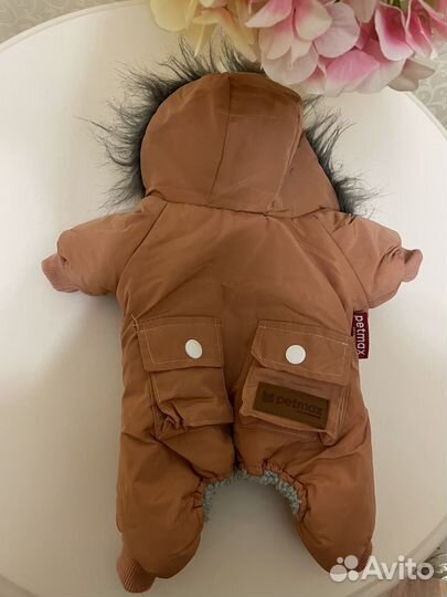 Комбинезон для собак XS