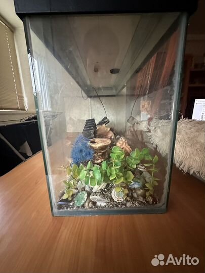 Аквариум