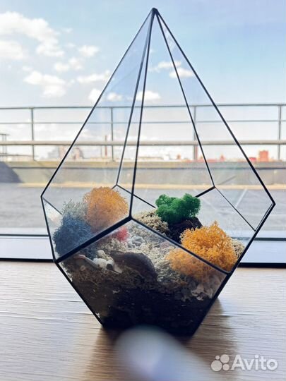 Флорариум пирамидка