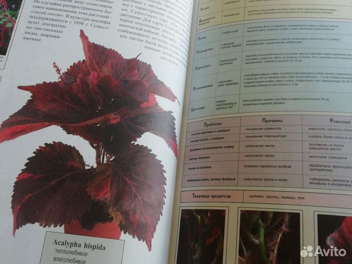 Книга про комнатные растения