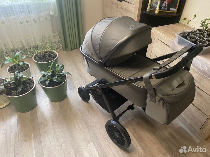 Коляска 2 в 1 Carello optima 2023