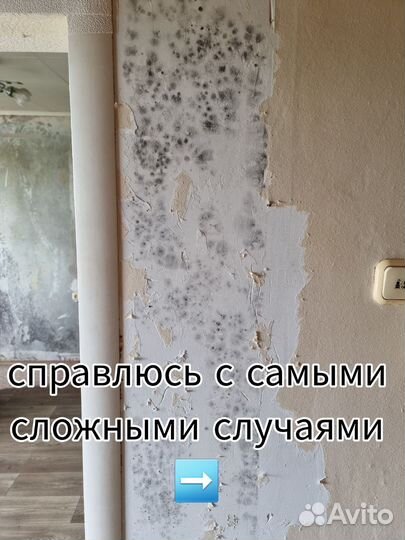 Убрать плесень