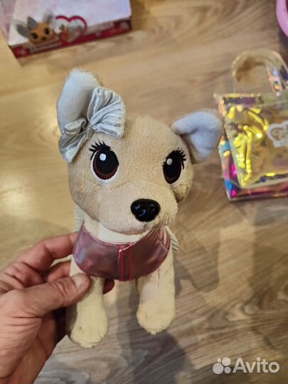 Собака Chi Chi Love оригинал