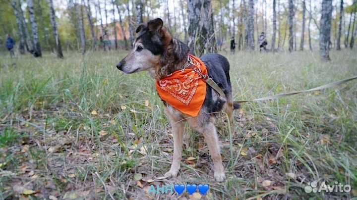 Даша ждёт своих родителей в приюте