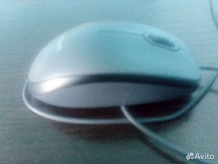 Мышь для компьютера