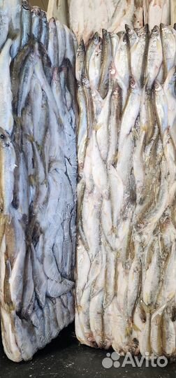 Корюшка свежемороженая