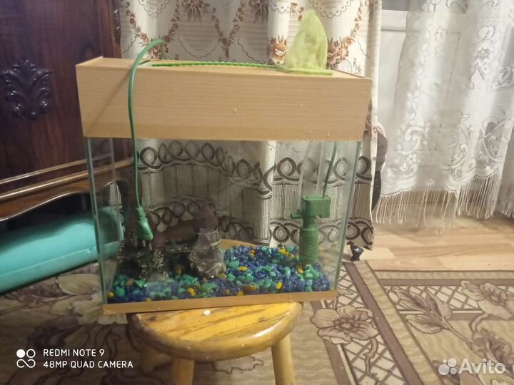 Аквариум