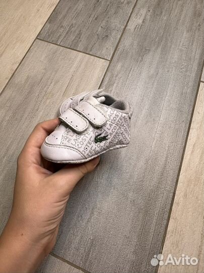 Пинетки lacoste оригинал
