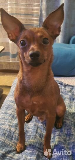 Мальчик красавчик