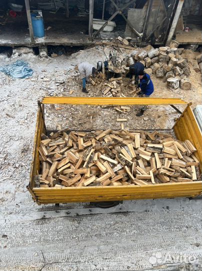 Дрова березовые колотые