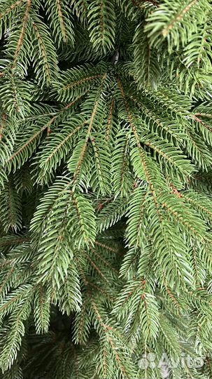 Искусственная елка Тобольская литая