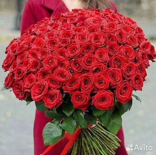 Розы Высокие 150см 160см 170см 180см 190см 2м