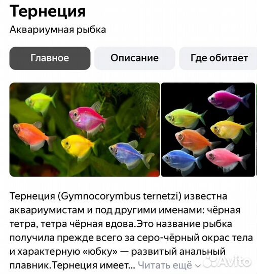 Аквариум (со всем содержимым)