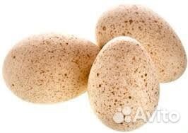 Инкубационное яйцо индейки биг 6