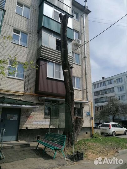 Мужчина на час