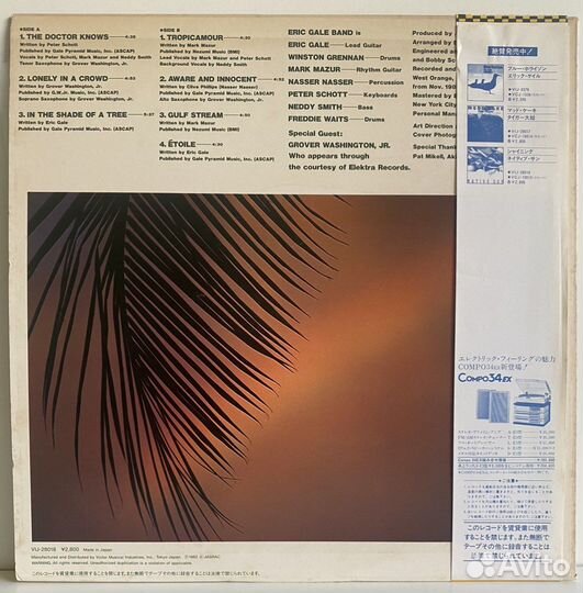 Jazz:Eric Gale /In The Sade of a Tree LP MT 1982