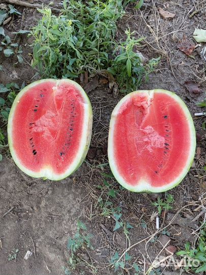 Арбузы