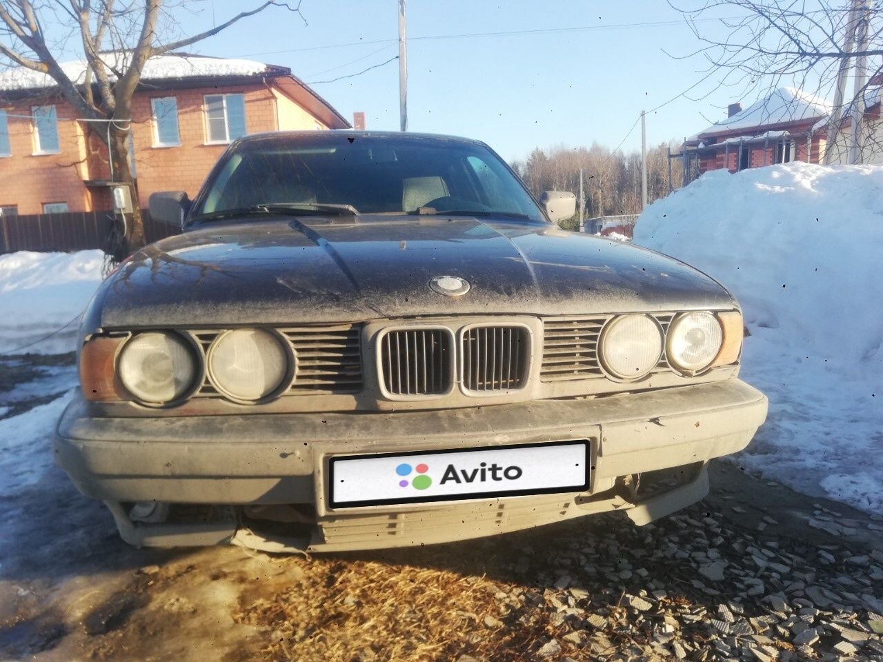 BMW 5 серия: фото владельца