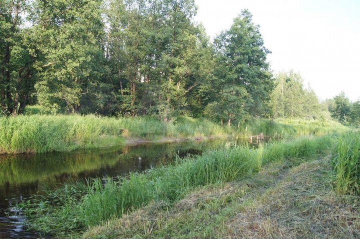 Участок 23 сот. (ИЖС)