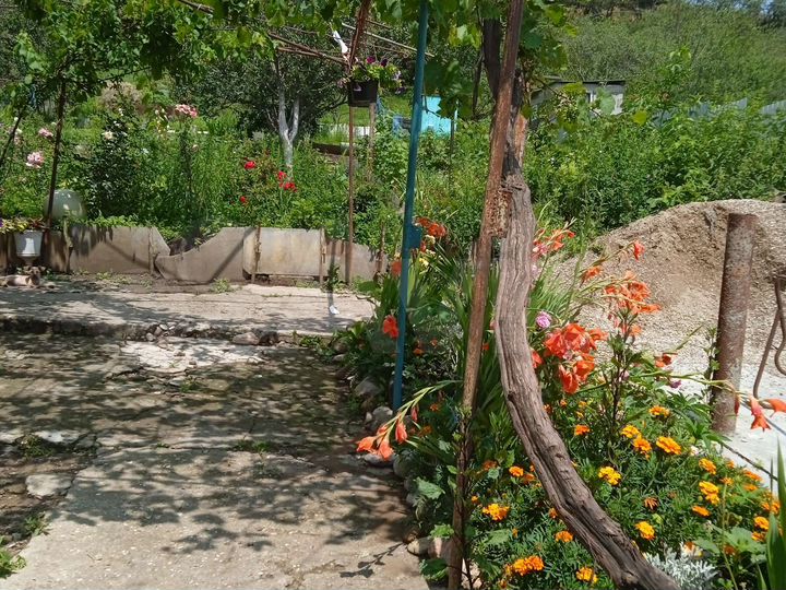 Дача 61,3 м² на участке 15 сот.