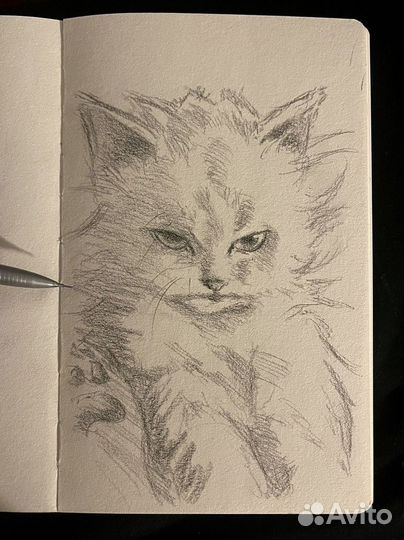 Рисую ваших питомцев