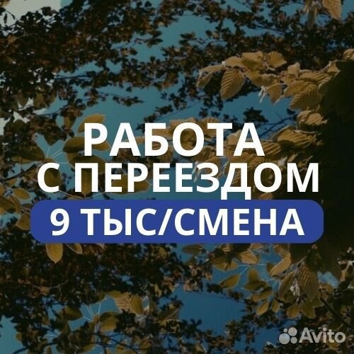 Работа в Израиле с переездом, гражд РФ, рб, Укр