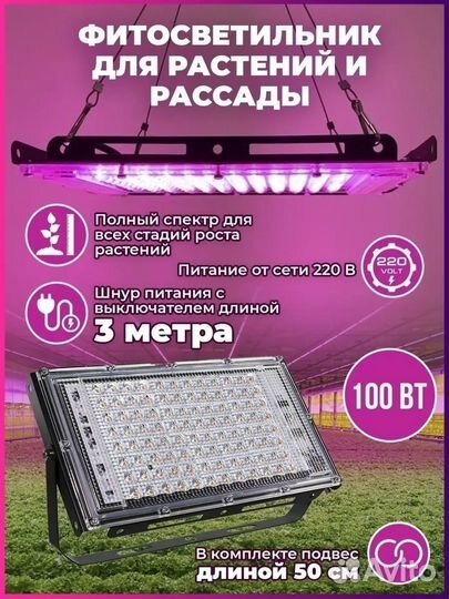 Фитолампа для растений