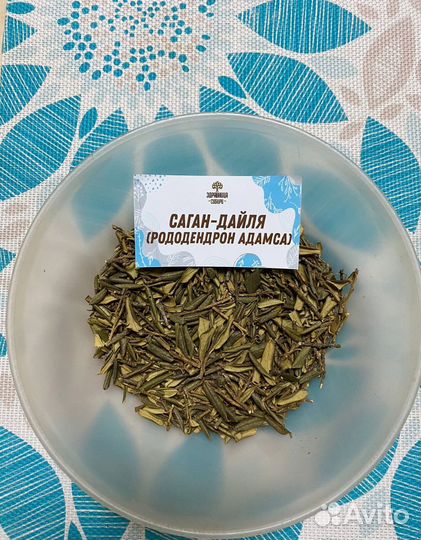 Саган-Дайля (Рододендрона Адамса )