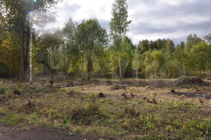 Участок 27 сот. (СНТ, ДНП)